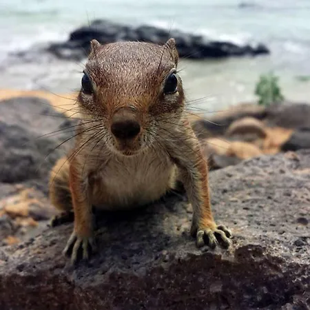 Appartement C16 Oasis - - Glasfaserinternet *