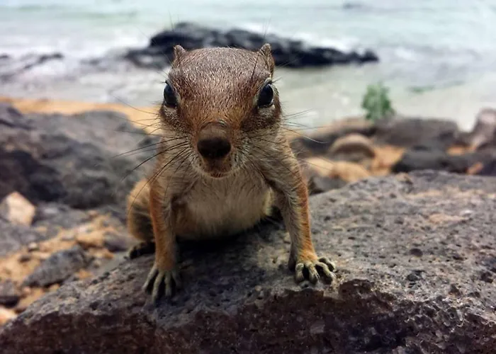 Appartement C16 Oasis - - Glasfaserinternet *